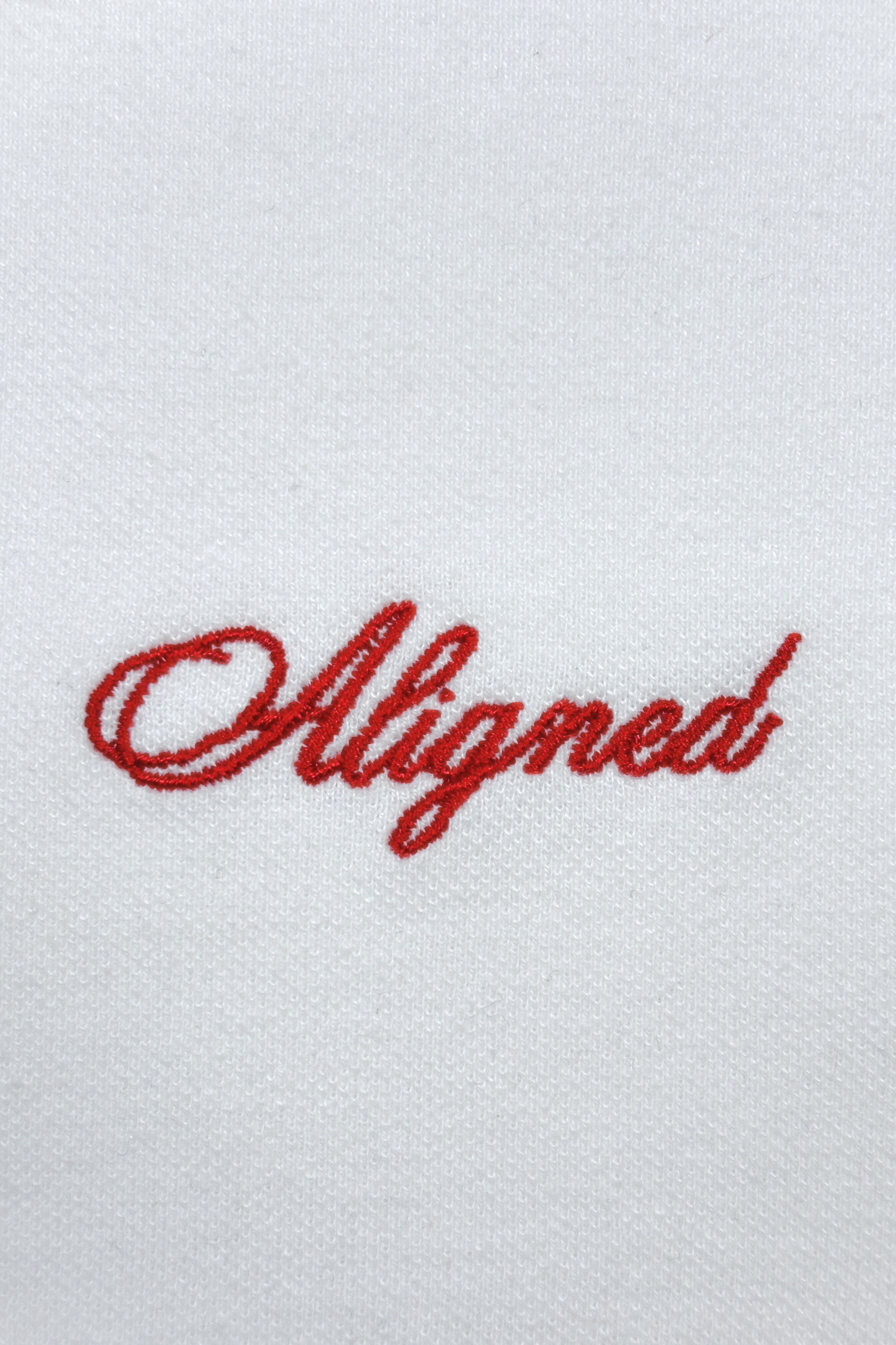 Aligned Polo Tee