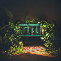 Fruit Takes Time